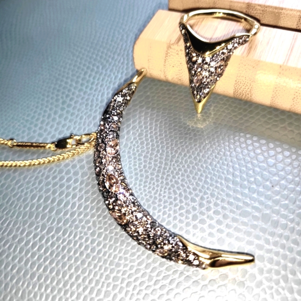 Alexis Bittar Silver & Gold Necklace